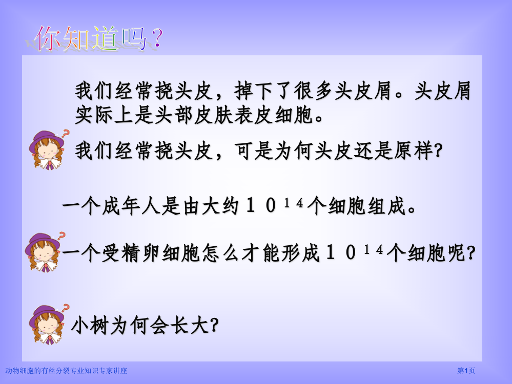 动物细胞的有丝分裂专业知识专家讲座