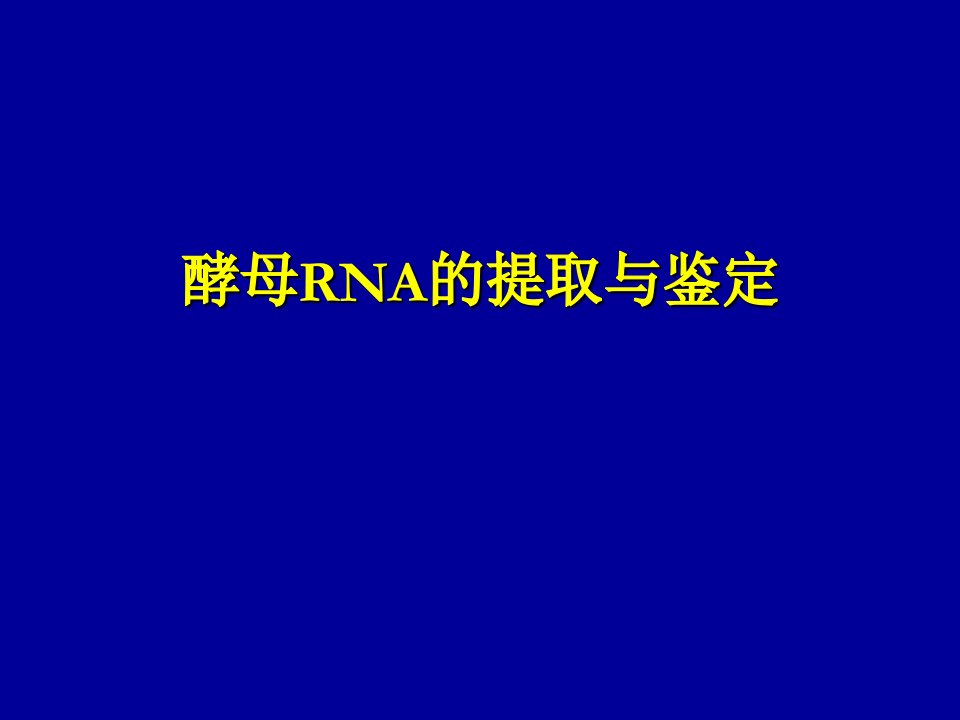 酵母RNA的提取与鉴定