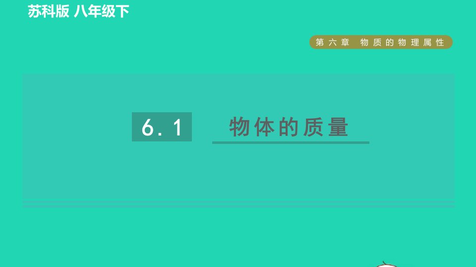 2022八年级物理下册第六章物质的物理属性6.1物体的质量习题课件新版苏科版