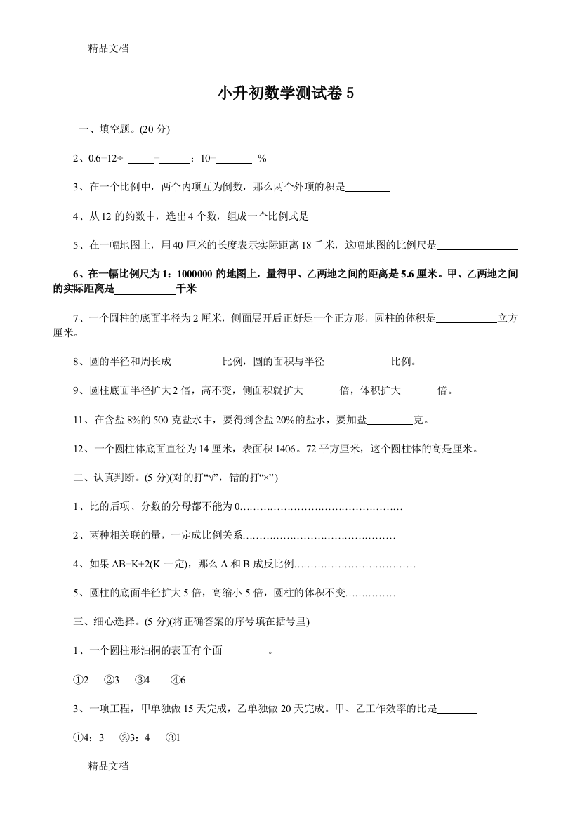 小升初数学测试卷-5