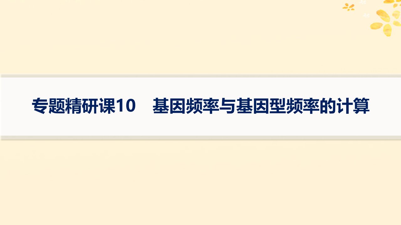 适用于新高考新教材备战2025届高考生物一轮总复习第7单元生物的变异和进化专题精研课10基因频率与基因型频率的计算课件