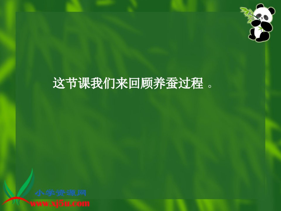 教科版三年级科学下册课件蚕的生命周期7