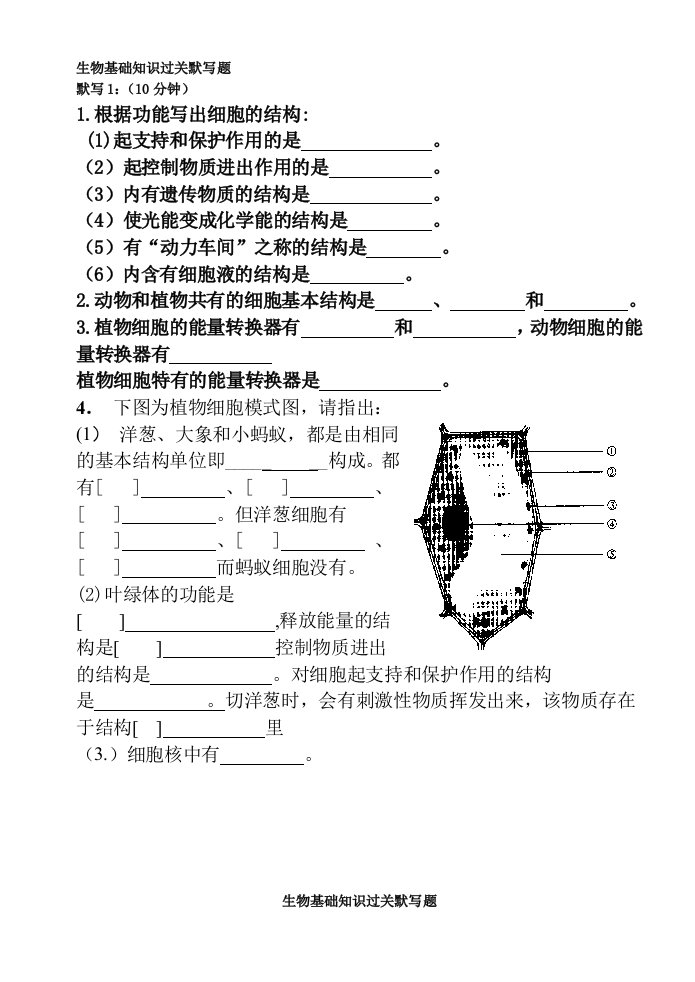 七年级生物上册基础知识过关默写题