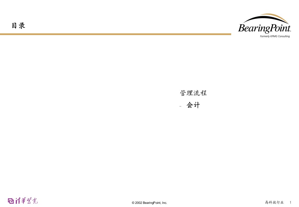 Bearingpoint-会计管理流程