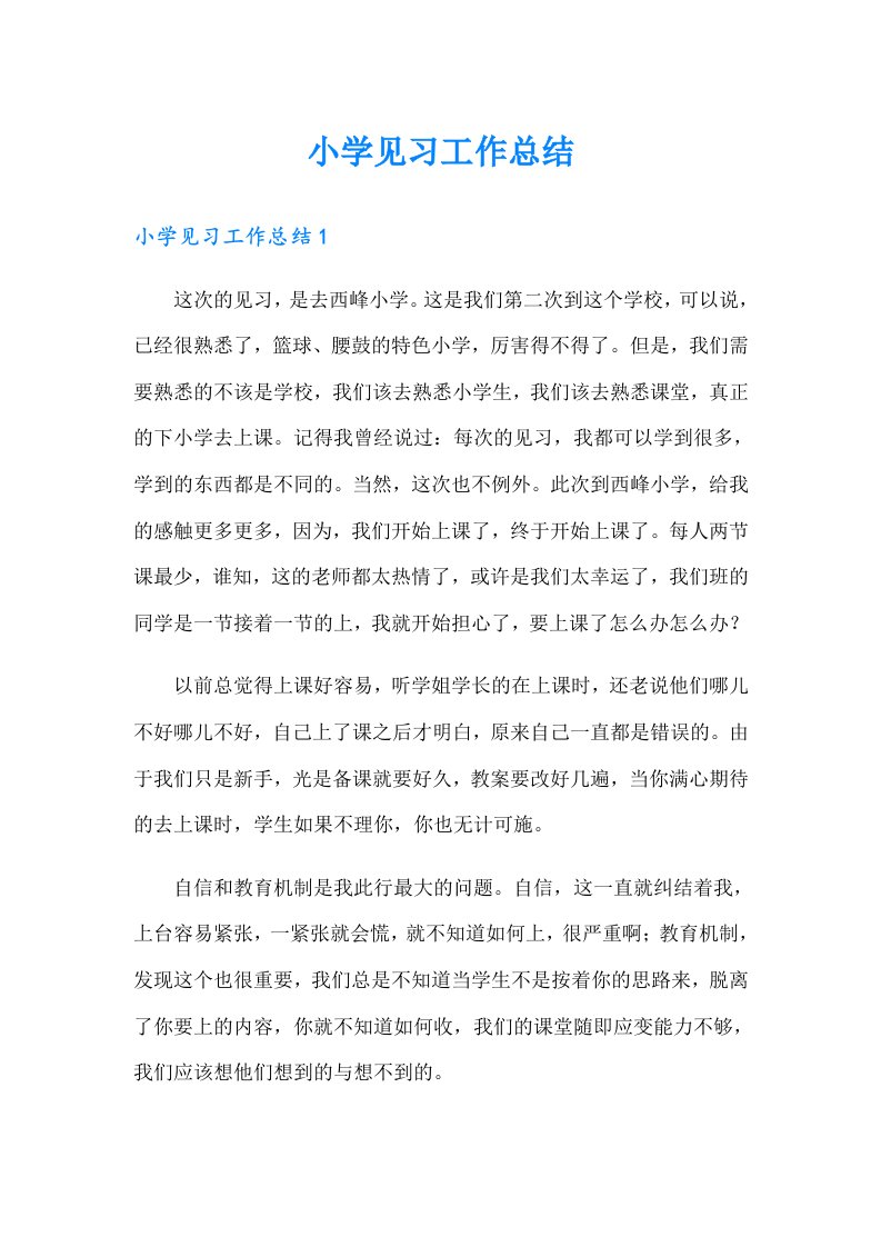 小学见习工作总结