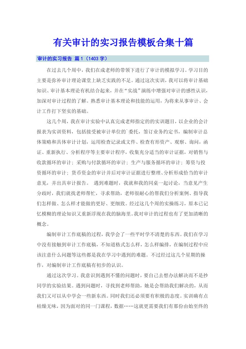 有关审计的实习报告模板合集十篇