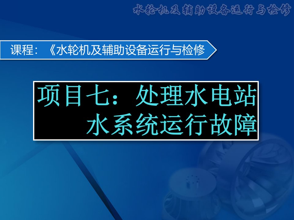 《水轮机及辅助设备》项目七