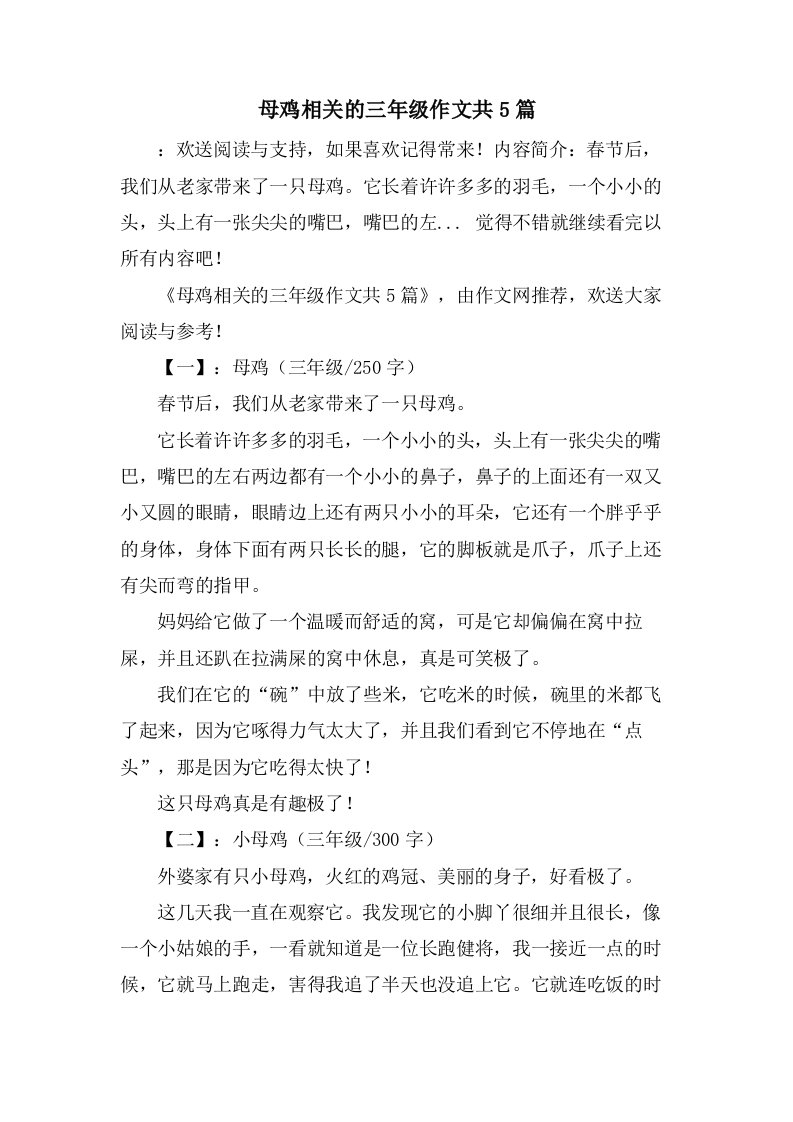 母鸡相关的三年级作文共5篇