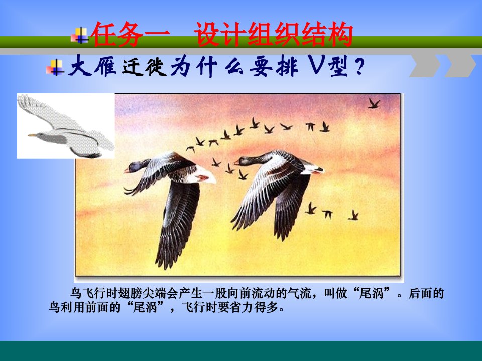 构建组织结构（PPT42页)