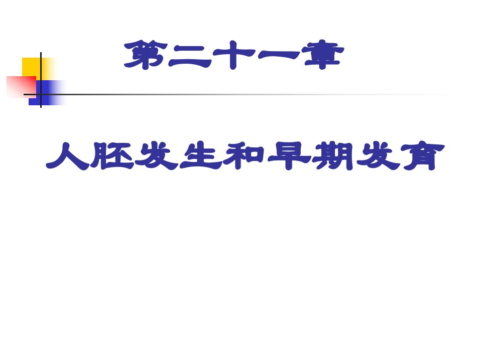 组织胚胎学教案课件(5)