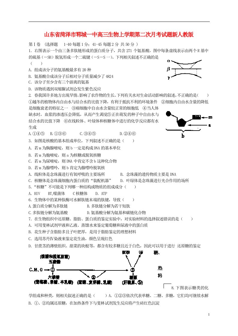 山东省菏泽市郓城一中高三生物上学期第二次月考试题新人教版