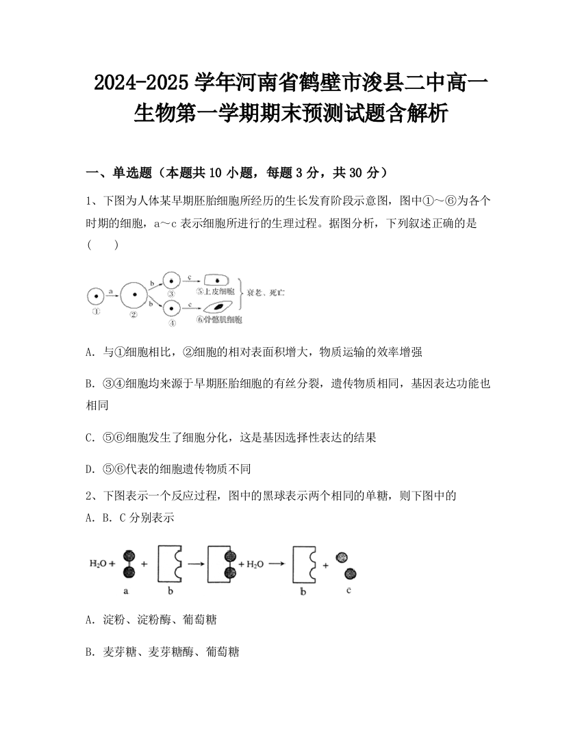 2024-2025学年河南省鹤壁市浚县二中高一生物第一学期期末预测试题含解析