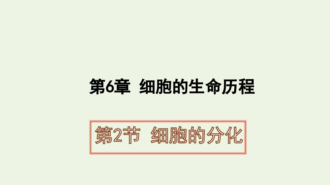 2021_2022学年高中生物第六章细胞的生命历程第2节细胞的分化课件2新人教版必修1