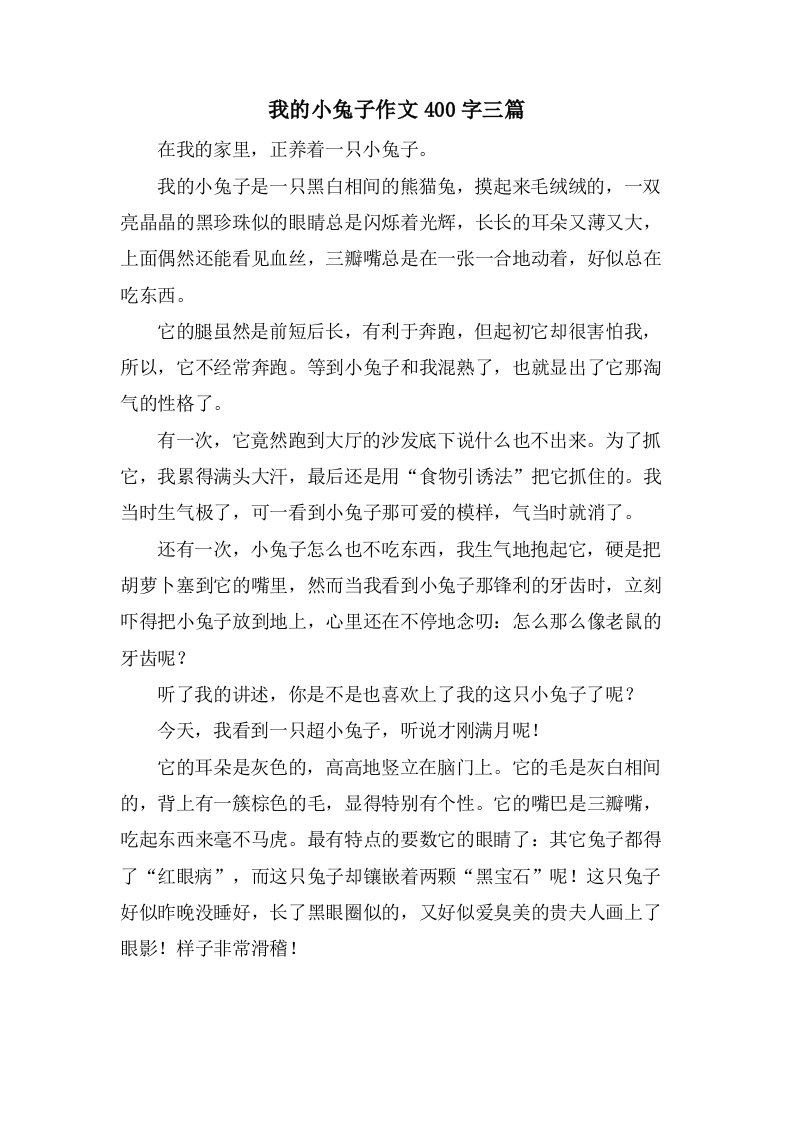 我的小兔子作文400字三篇