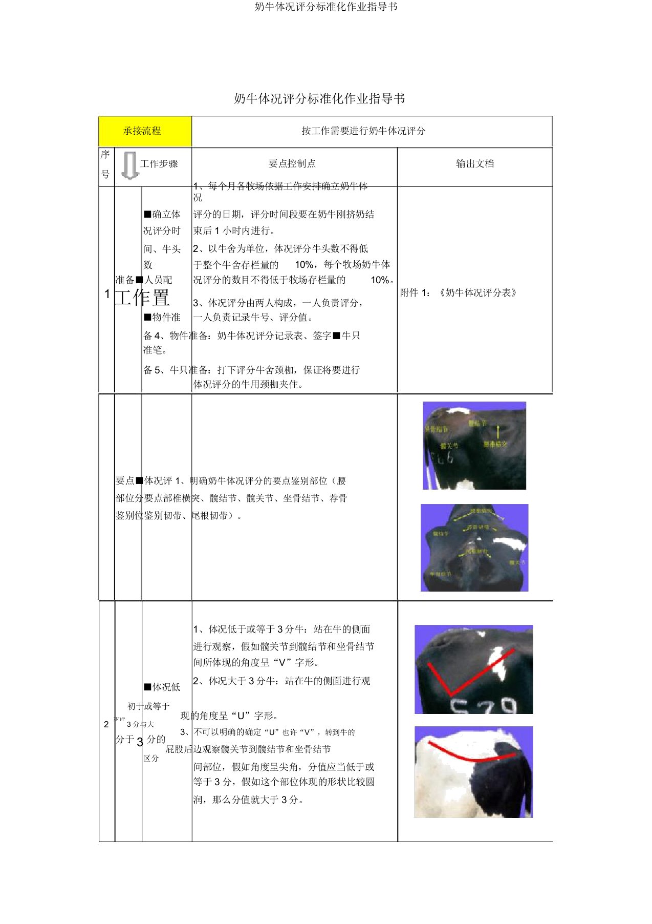 奶牛体况评分标准化作业指导书