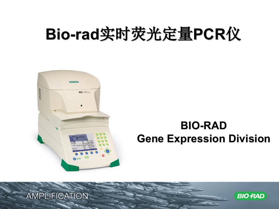 Bio-Rad定量PCR说明书课件