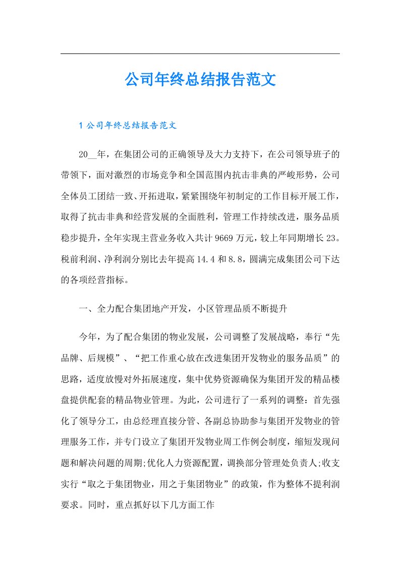 公司年终总结报告范文