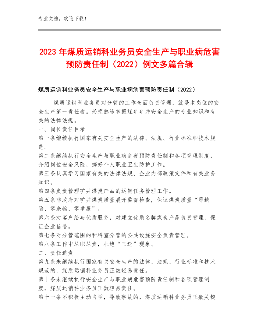 2023年煤质运销科业务员安全生产与职业病危害预防责任制（2022）例文多篇合辑