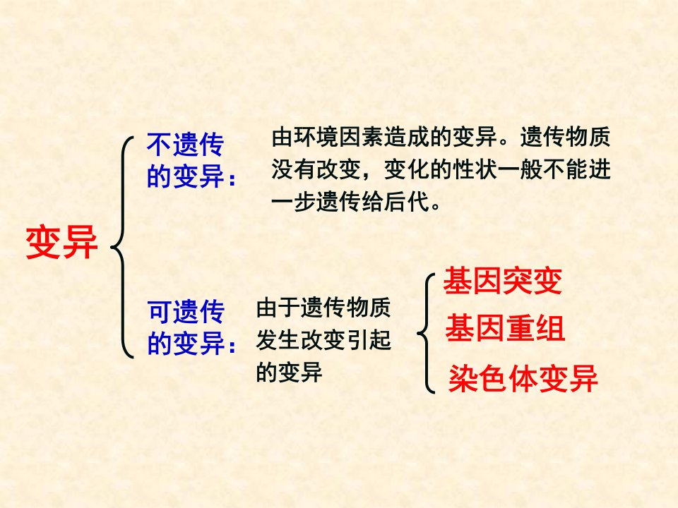 基因突变和基因重组_2