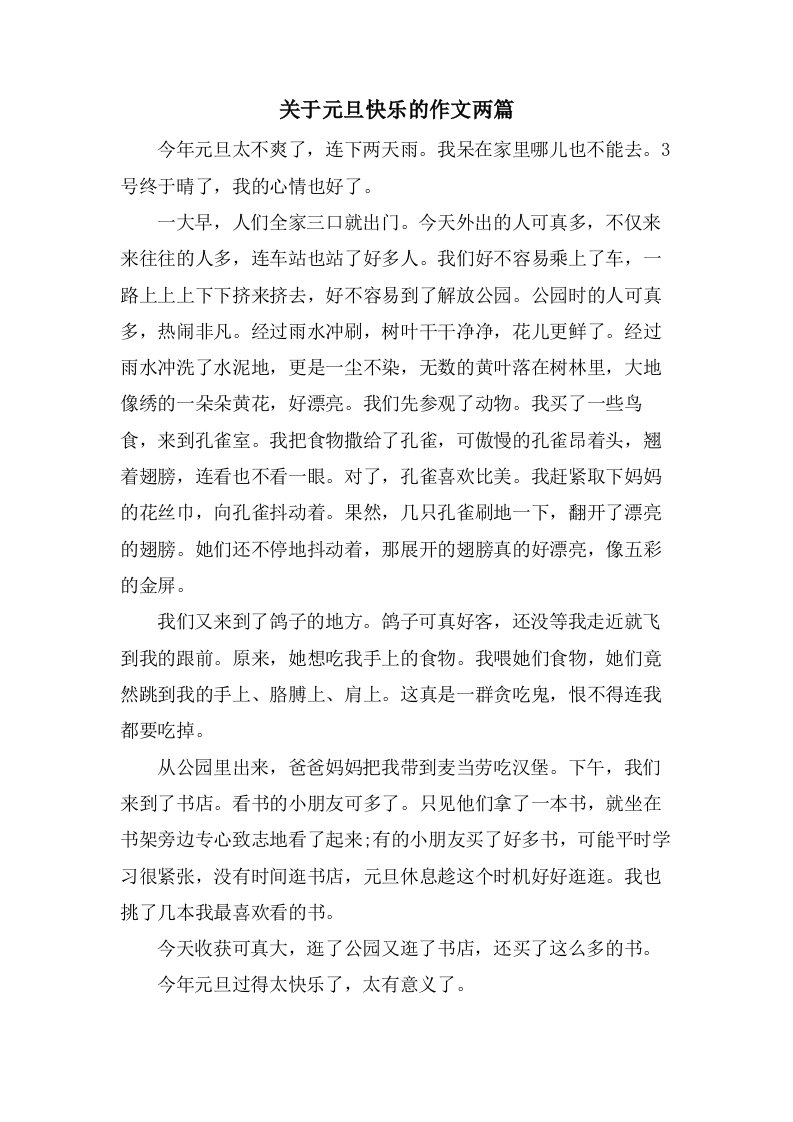 关于元旦快乐的作文两篇