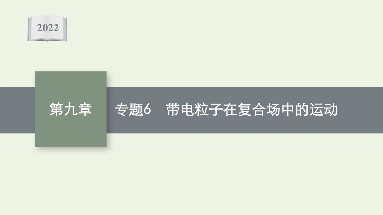 高考物理一轮复习专题6带电粒子在复合场中的运动课件