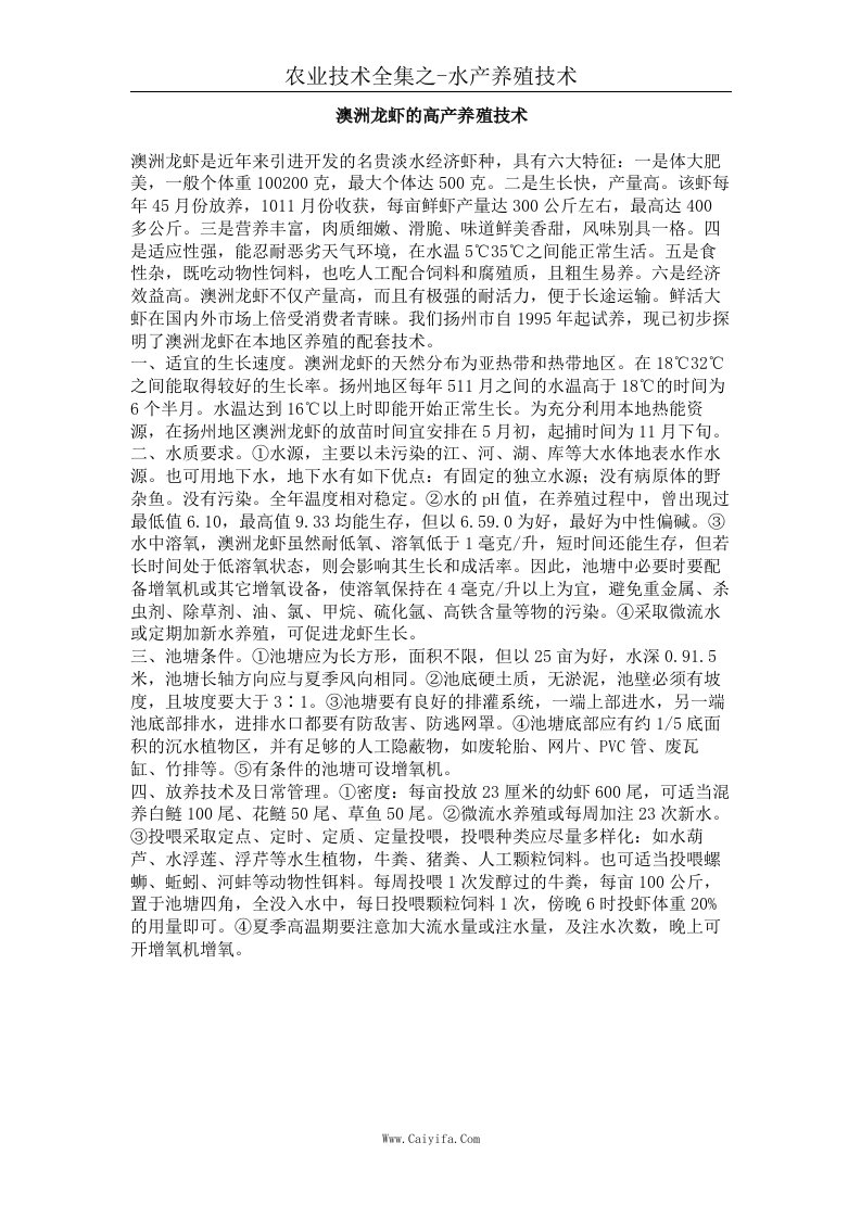 澳洲龙虾的高产养殖技术