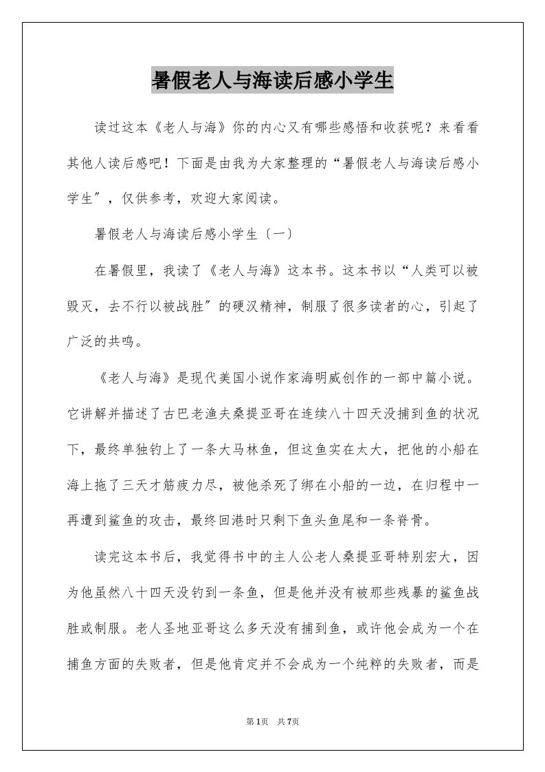 暑假老人与海读后感小学生