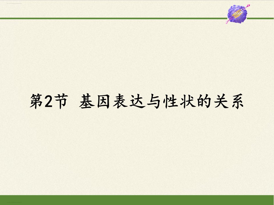 《基因表达与性状的关系》生物ppt课件