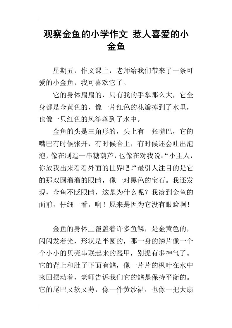 观察金鱼的小学作文惹人喜爱的小金鱼