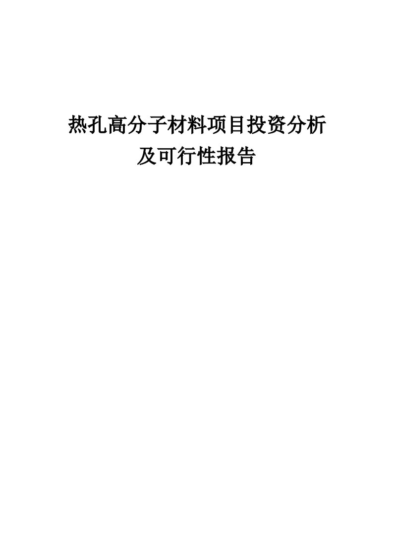 2024年热孔高分子材料项目投资分析及可行性报告