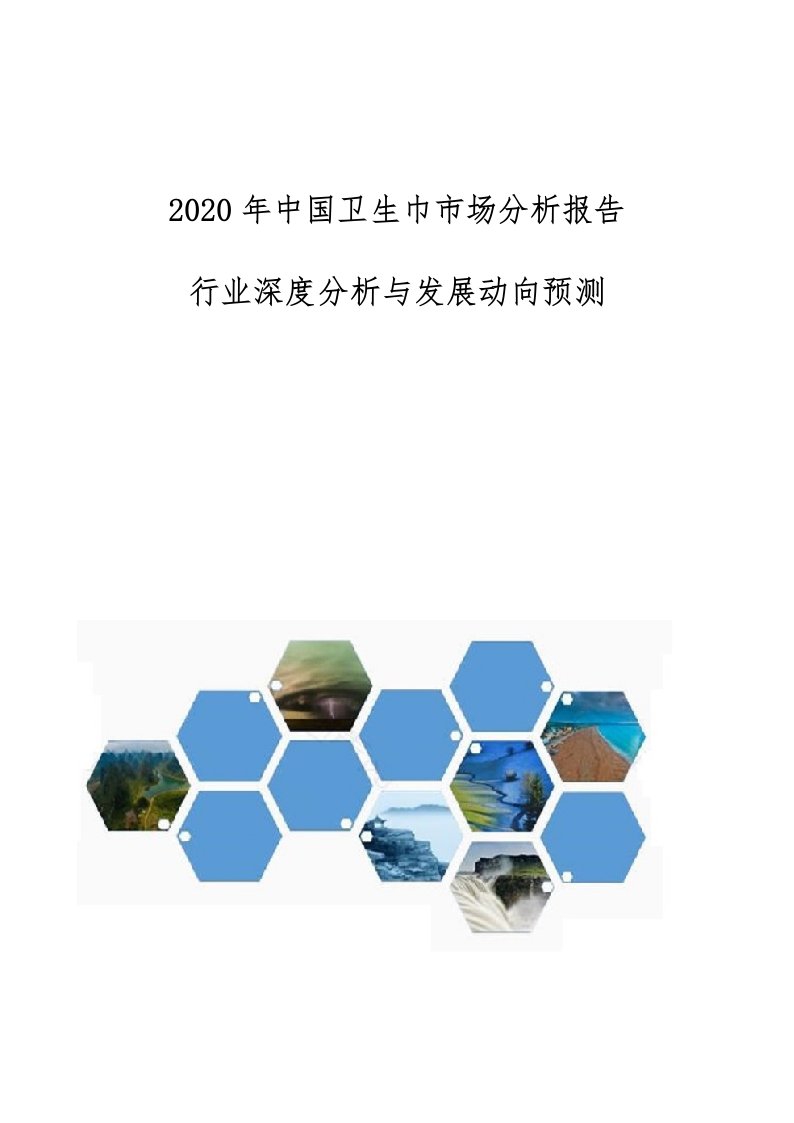 中国卫生巾市场分析报告-行业深度分析与发展动向预测