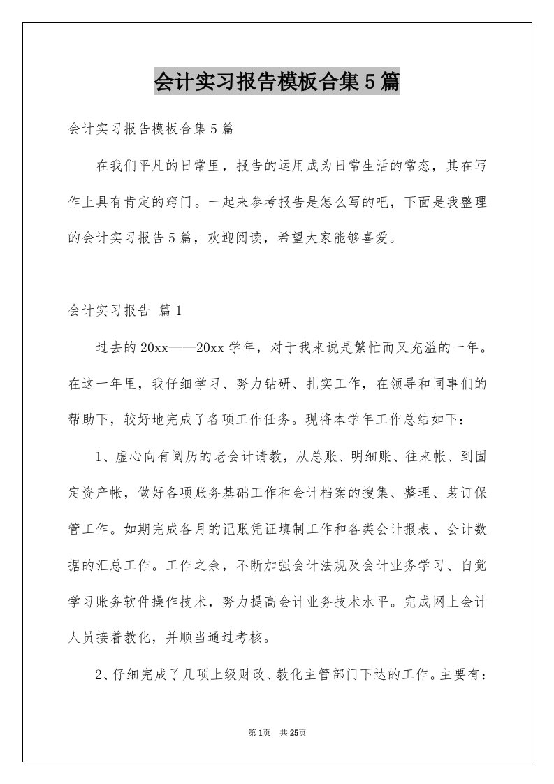 会计实习报告模板合集5篇范文