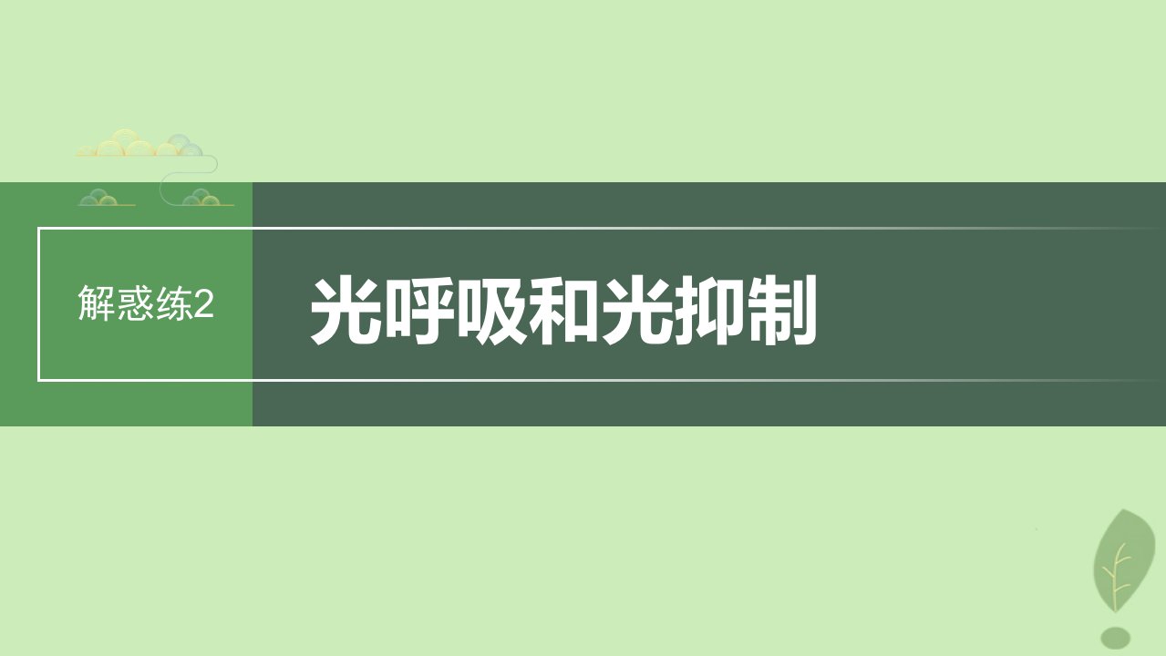 2024届高考生物一轮复习第三单元细胞的能量供应和利用解惑练2光呼吸和光抑制课件苏教版