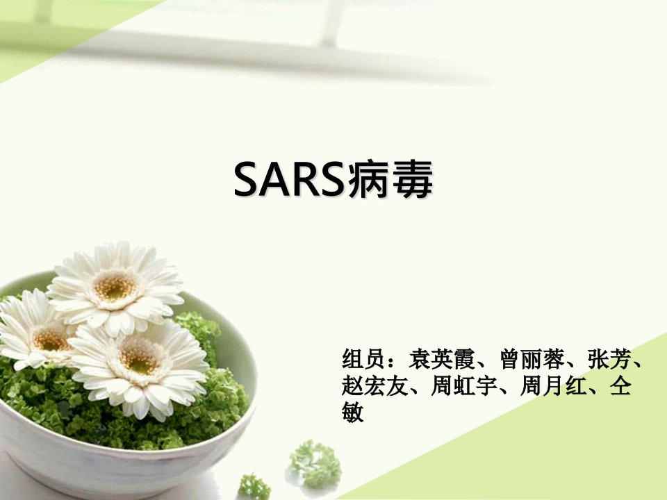 SARS病毒PPT课件