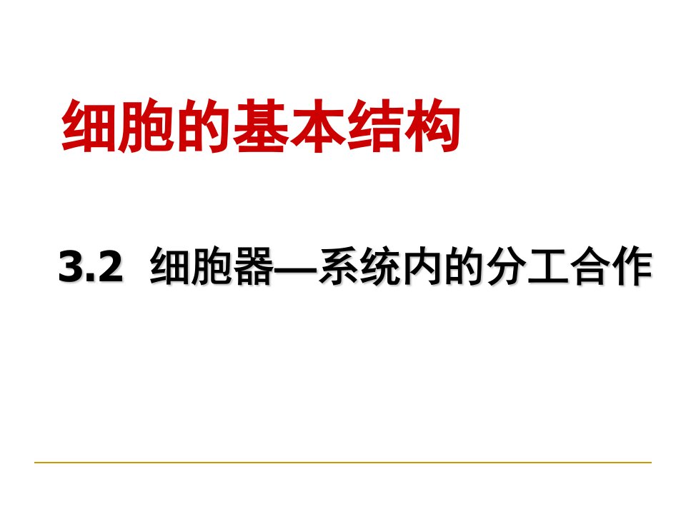 细胞器──系统内的分工合作