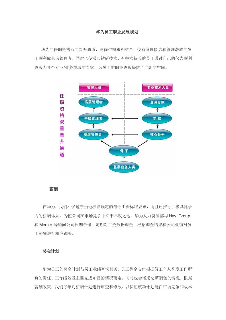 华为员工职业发展规划