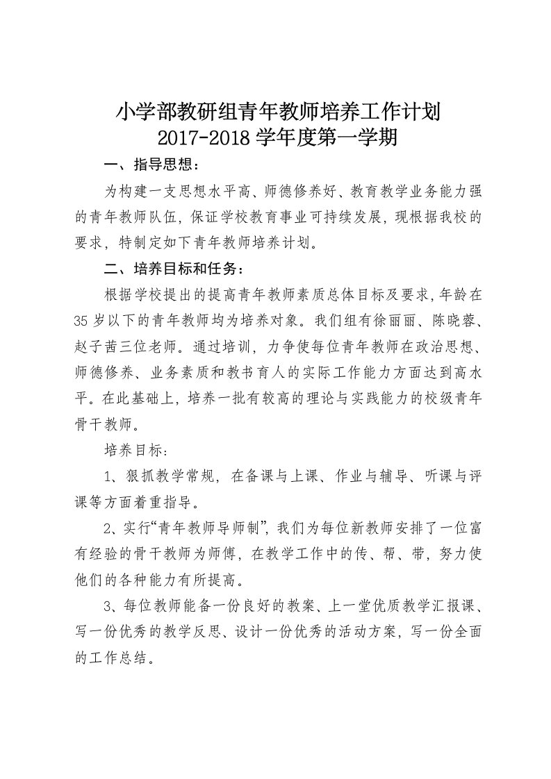 小学部教研组青年教师培养工作计划