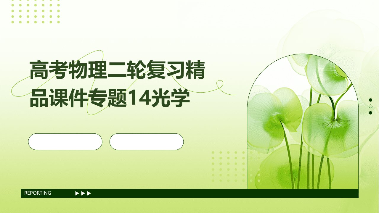 高考物理二轮复习课件专题14光学