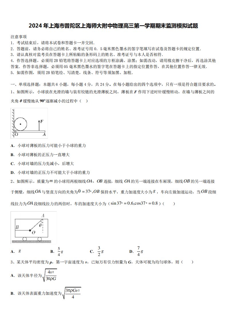 2024年上海市普陀区上海师大附中物理高三第一学期期末监测模拟试题含精品