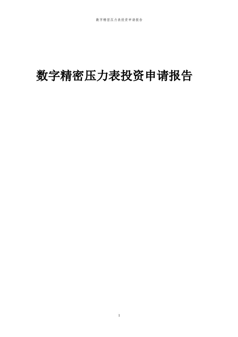 2024年数字精密压力表投资申请报告代可行性研究报告