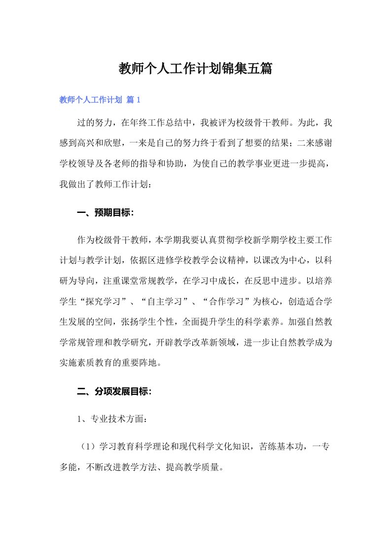 教师个人工作计划锦集五篇