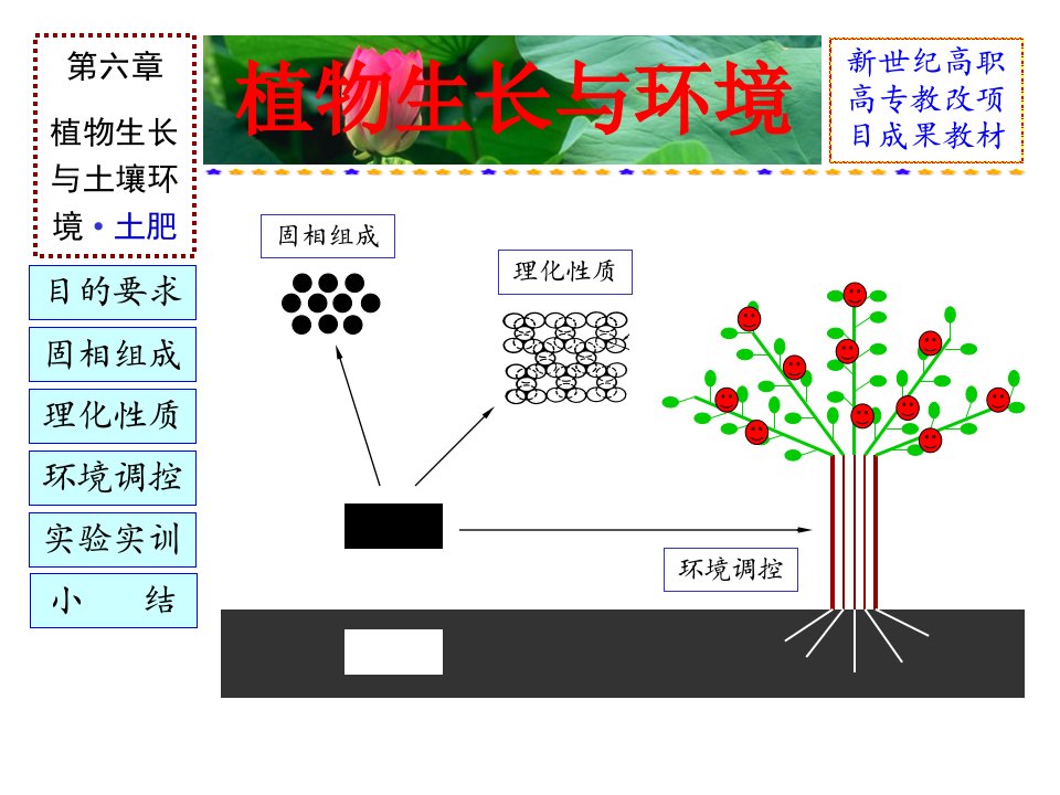 第六章植物生长与土壤环境