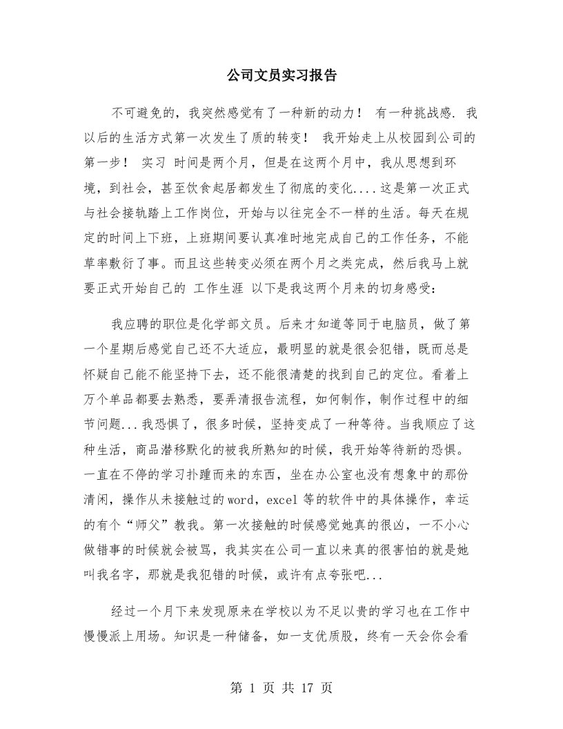 公司文员实习报告