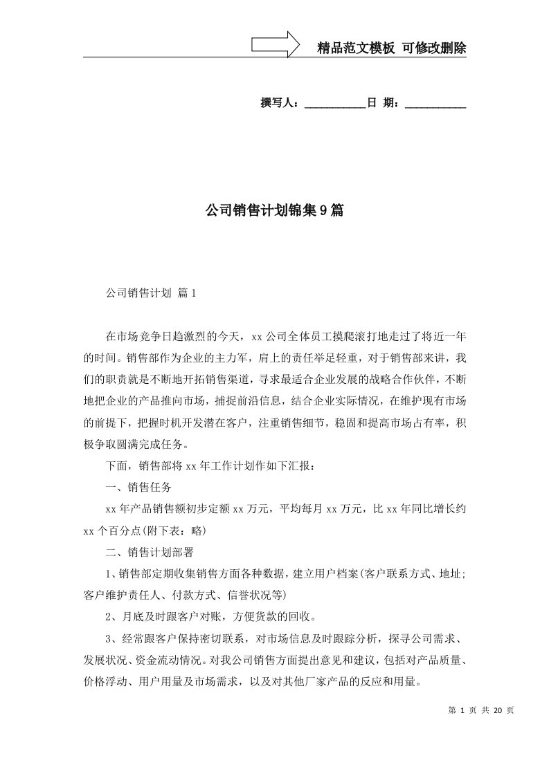 公司销售计划锦集9篇一