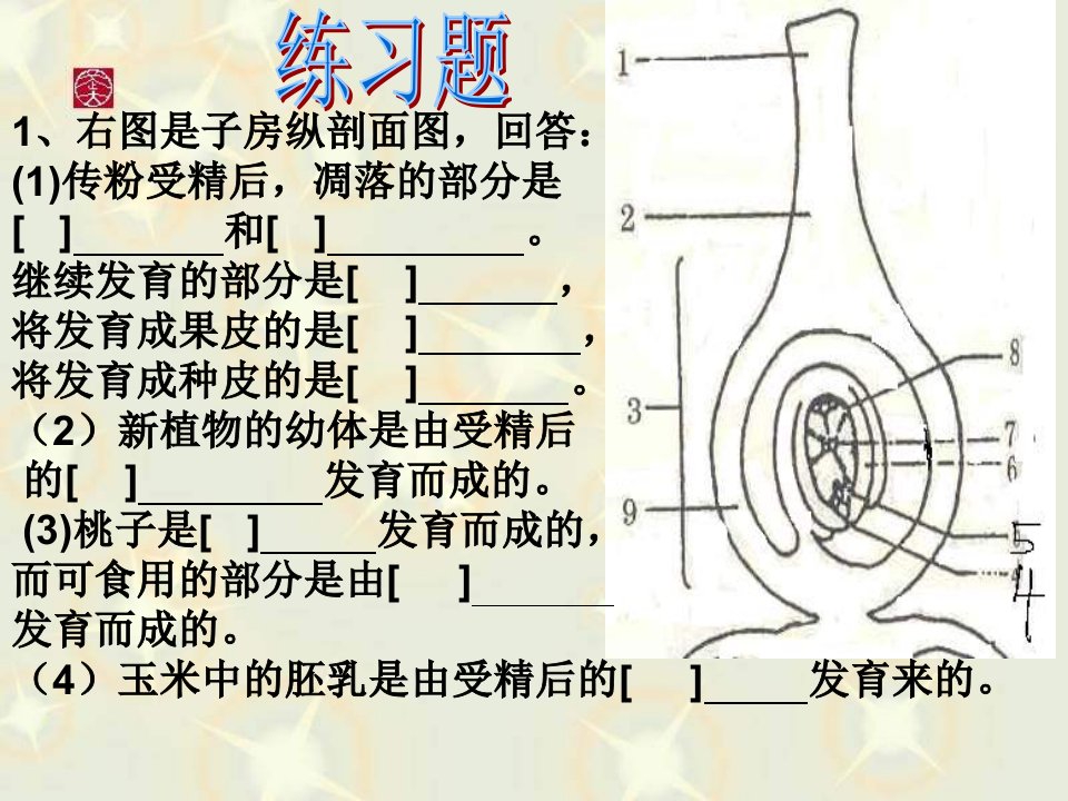 九年级生物绿色植物与水资源