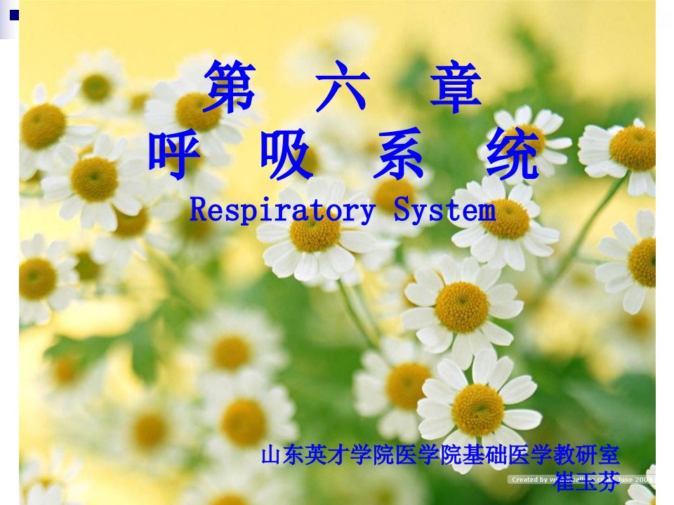 呼吸系统RespiratorySystem