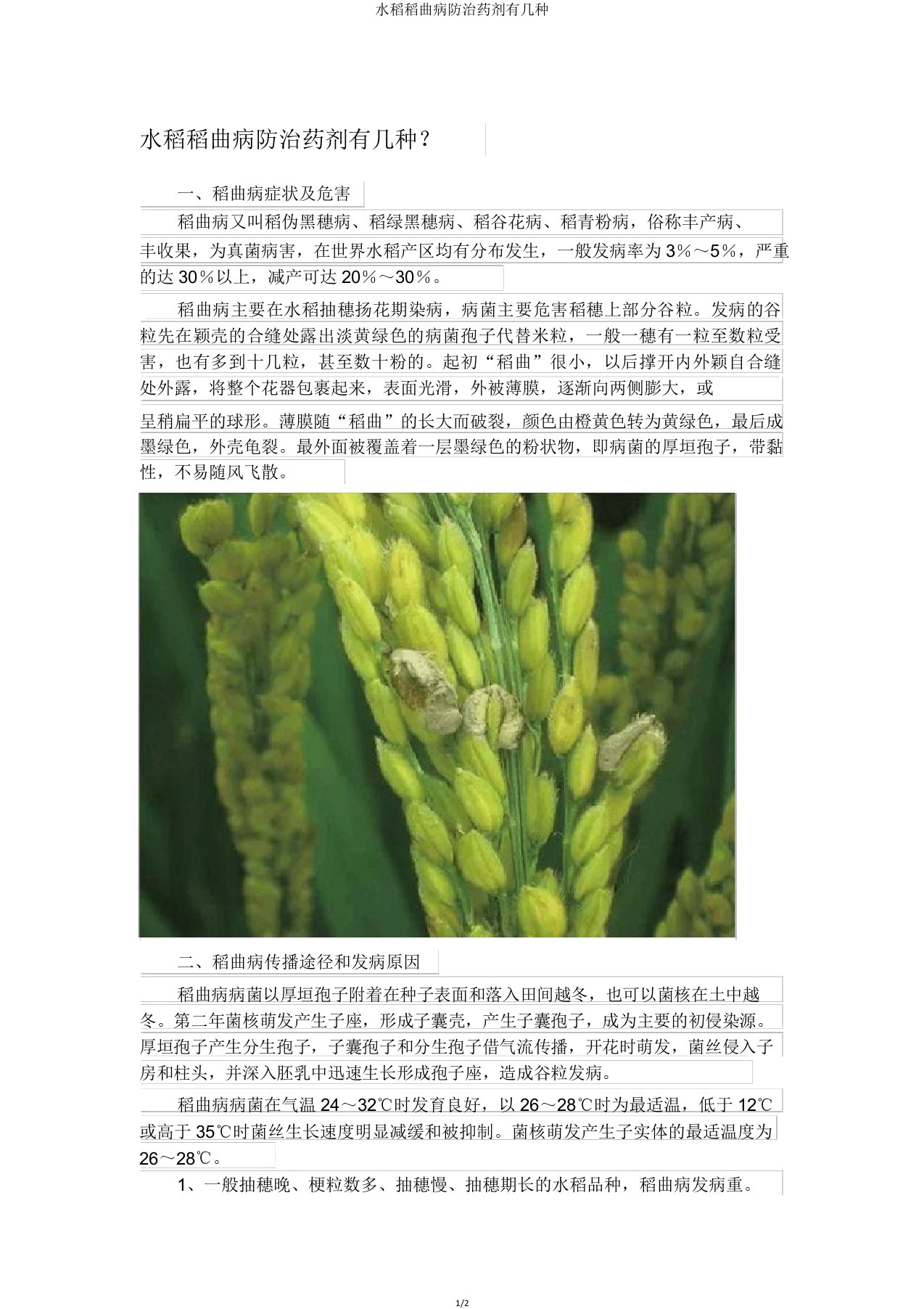 水稻稻曲病防治药剂有几种