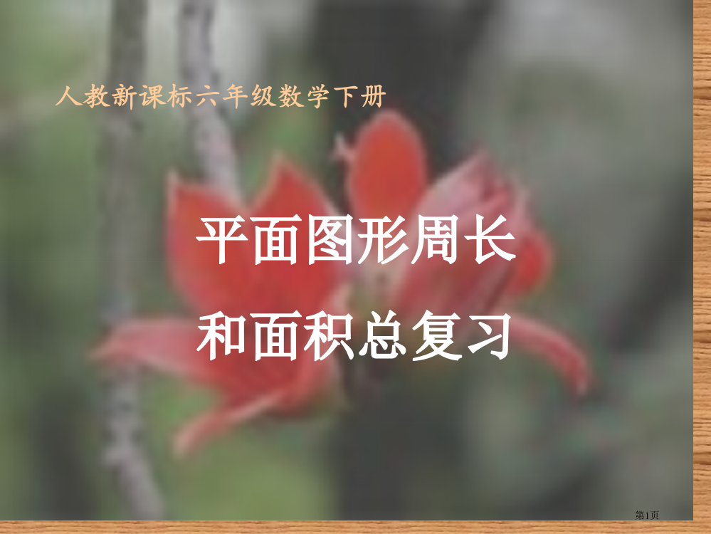 平面图形的周长和面积总复习人教新课标六年级数学下册第十二册市名师优质课比赛一等奖市公开课获奖课件