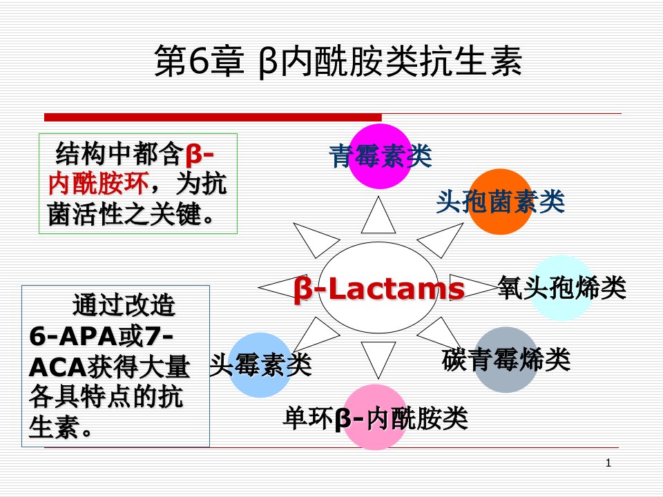 β内酰胺类抗生素