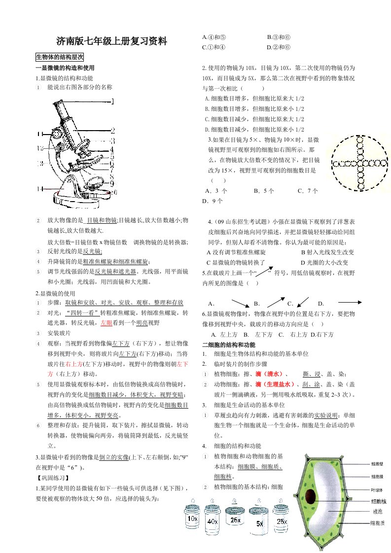 初一生物(济南版)七年级上册复习资料